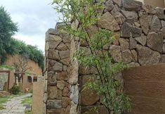 Others 2 Luoyang Qingmo Yuelong Valley Resort Hotel