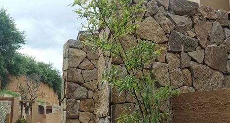 Others 2 Luoyang Qingmo Yuelong Valley Resort Hotel