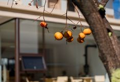 Others 2 Yunleyuan Homestay