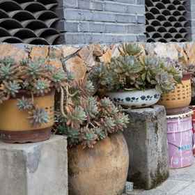 Hotel Exterior 1 Warm and cool homestay, Suichang Xian Hotels