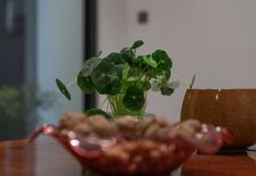 其他 4 Jincheng Hotel