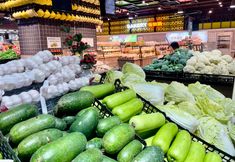 Others 5 Monsoon Select Apartment (Zhongshan Poly Plaza)