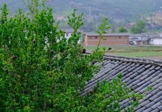 Others 3 Shaxi and Mingleshe Homestay