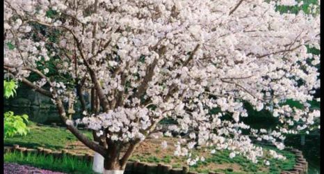 その他 2 ReMAX Remai E-Sports Hotel (Jiangbei Datongqiao Subway Station)