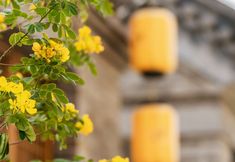 Others 4 Luoyang Wanjin Hotel (Luoqi Ancient City Yingtianmen Scenic Area)