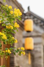 Others 4 Luoyang Wanjin Hotel (Luoqi Ancient City Yingtianmen Scenic Area)