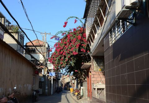 其他 Lvji Xiangfeng Juzhusu (Kaiyuansi West Street Branch)