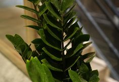 其他 2 Xijiang Qianhu Miaozhai Yanqi Homestay (Luxury Showgrounds)