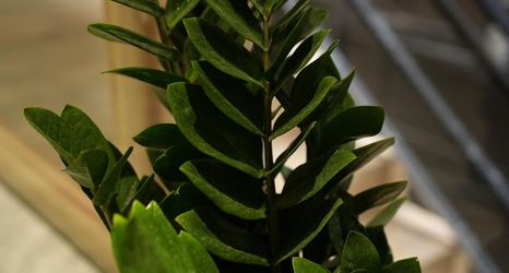 其他 2 Xijiang Qianhu Miaozhai Yanqi Homestay (Luxury Showgrounds)