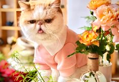 Lainnya 5 Dali Cloud Love Letter Inn (Dali Ancient Town Branch)