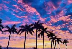 Others 2 Kapok Bay Chain Apartment (Luohu Port Hubei Metro Station Branch)