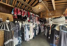 其他 7 Xijiangyue • Millennium Panorama Hotel