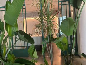 Others 4 Shiman Hotel