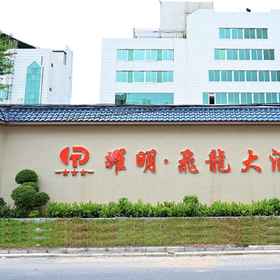 Logo 1 Yaoming · Flying Dragon Hotel, 四季酒店 Hotels