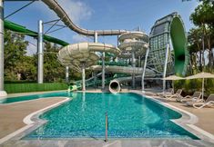 기타 3 Paloma Grida