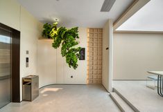 Lain-lain 6 Pujiang New Yatu Hotel