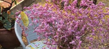 Others 2 Ouyang Xiaoyuan Inn, Shaxi Ancient Town