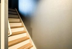 อื่นๆ 3 JS xiaozhai・sensei