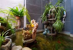 Others 3 Dali Tang Dynasty Boutique Hotel