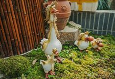 Others 2 Hanya Hotel