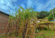 Khác 5 Yangchun Spring Neighbor • Riyue Huayuan Homestay