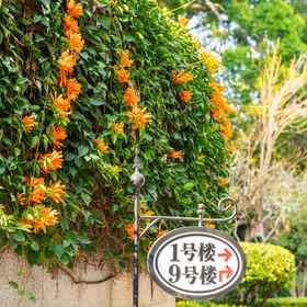 Hotel Exterior 1 鼓浪屿鹭屿度假酒店, 胡里山炮台 酒店