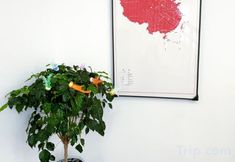 Lainnya 6 Boyue Express Hotel