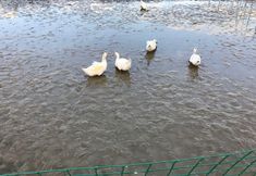 Others 4 Fujian Tulou Yunlian Qiushui Inn