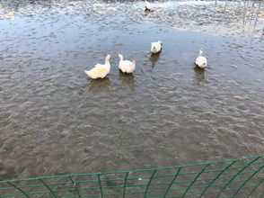 Others 4 Fujian Tulou Yunlian Qiushui Inn