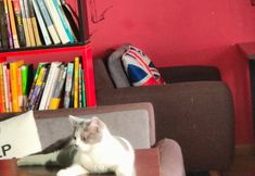 Lain-lain 5 Wuxi Xu Xiake International Youth Hostel