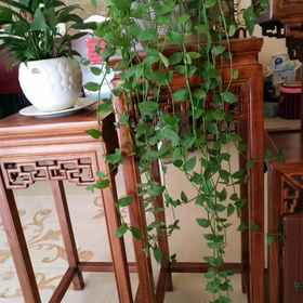 Hotel Interior/Public Areas 1 Jiahao Hotel, Kunming Hotels