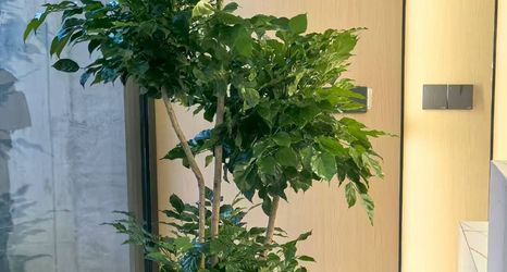 อื่นๆ 2 Source Homestay