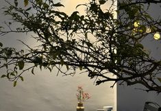 Lainnya 7 Dali Xi Yu Tang min su(Xizhou ancient town branch)