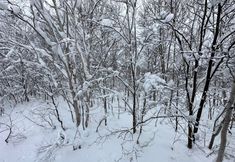 기타 2 Slow House Niseko with Private Onsen