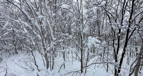 Others 2 Slow House Niseko with Private Onsen