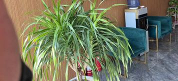 기타 5 7 Days Hotel (Wenshui Liu Hulanzhen Branch)