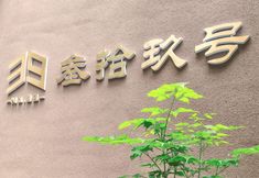 Lainnya 2 Luoyang Sanjiu Homestay (Luoyi Ancient City Branch)