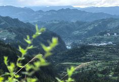 その他 3 Yuqing Quanjing Boutique Stay (Xijiang Qianhu Miao Village Miaozu Museum)