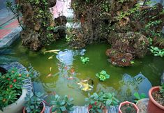 Others 5 qingzhuyuexianghotel(Xi'anSouthChang'anStreet,AerospaceCity SubwayStation Store)