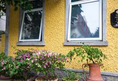 Others 3 Gulangyu Rose House