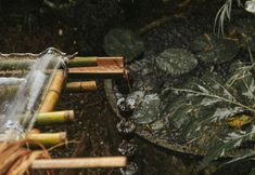 Others 3 Yidan’s Farm Upstairs bamboo room great view