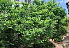 Khác 6 Chengjiang Jifang Inn