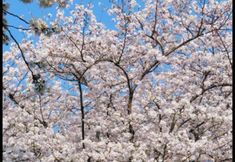 その他 4 ReMAX Remai E-Sports Hotel (Jiangbei Datongqiao Subway Station)