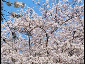 その他 4 ReMAX Remai E-Sports Hotel (Jiangbei Datongqiao Subway Station)