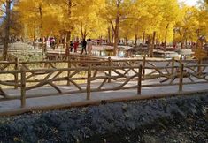 Others 4 Huyang Nongju Sihao Homestay