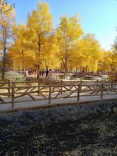 其他 4 Huyang Nongju Sihao Homestay