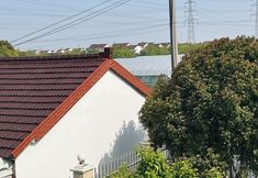 Others 3 Shanghai Wuqi Xiaozhu Homestay