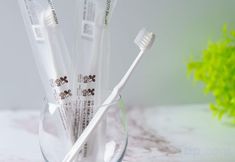 Others 3 Yume Terrace at Yachimata