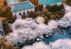 其他 2 Suixing Hotel · Huipin (Wuhan Zhongnan Road Wushang Dream City Store)