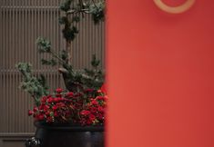 Others 4 Blossom House Tiananmen